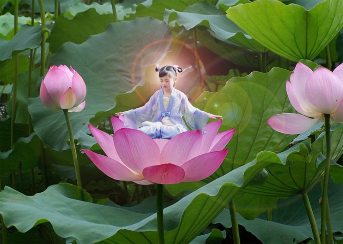 «Цветок Лотоса» — духовная практика для пробуждения души